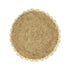 Fique Scallop image 0