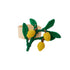 Lemon Branch Napkin Ring image 0
