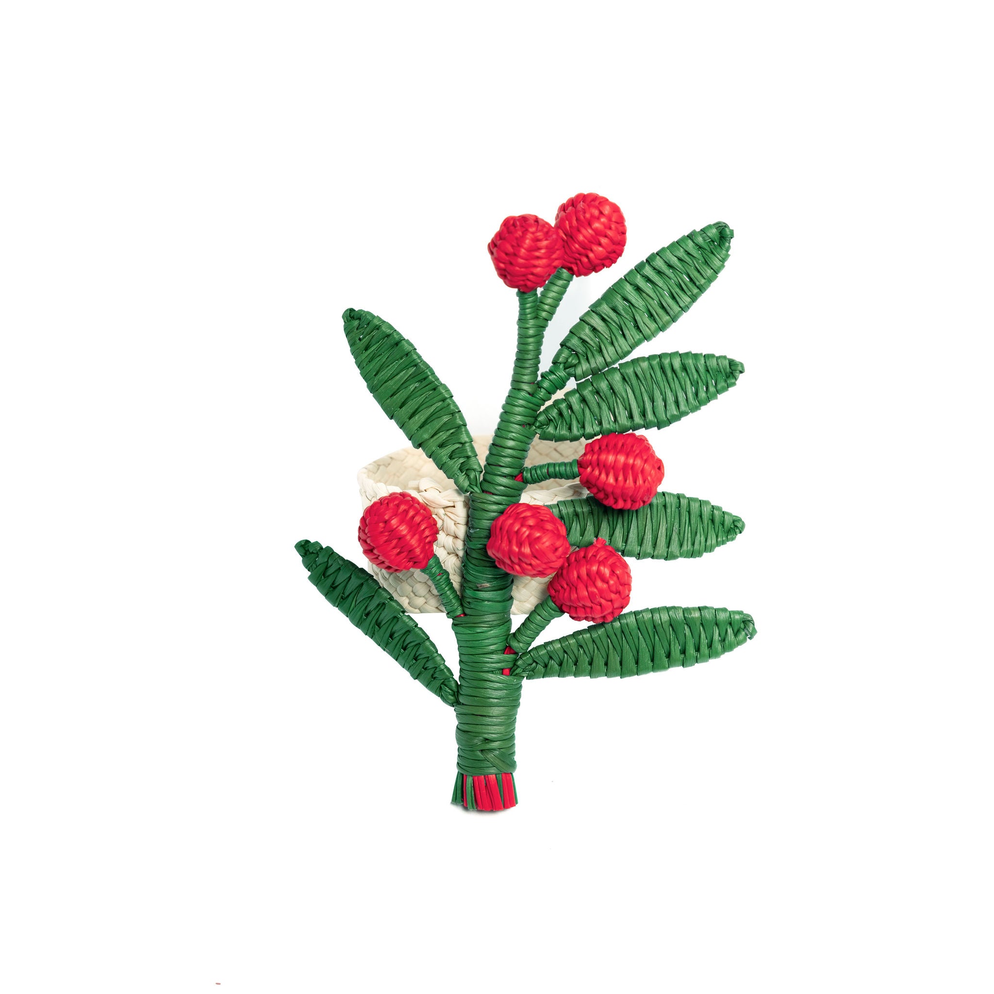 Holly