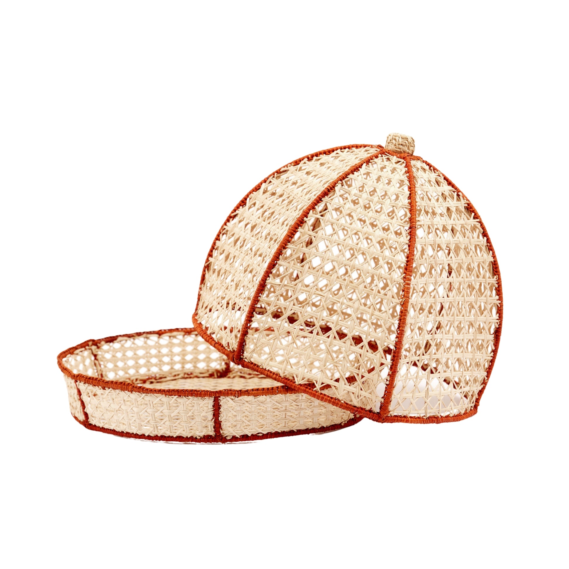 Cove - Dome & Tray image 0