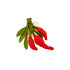 Red Chili Pepper Napkin Ring image 0